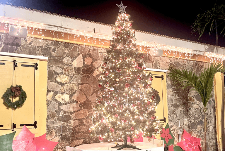 Photo Focus: Frenchtown Community Enjoys Traditional Lighting of the Christmas Tree Ceremony